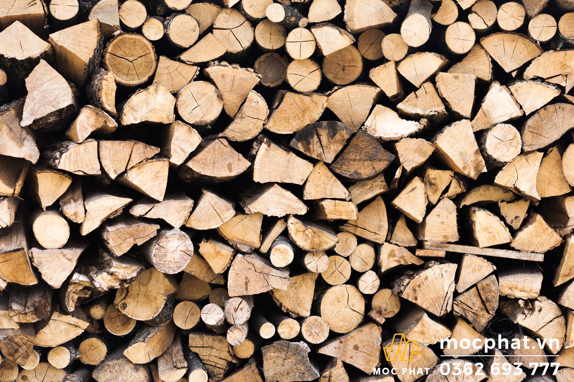 gỗ thông làm sàn gỗ