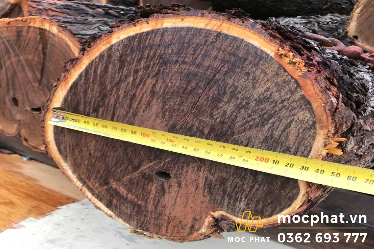 10 loại gỗ cứng nhất thế giới