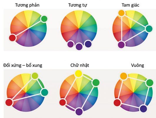 Làm chủ màu sắc với 6 nguyên tắc phối màu cơ bản
